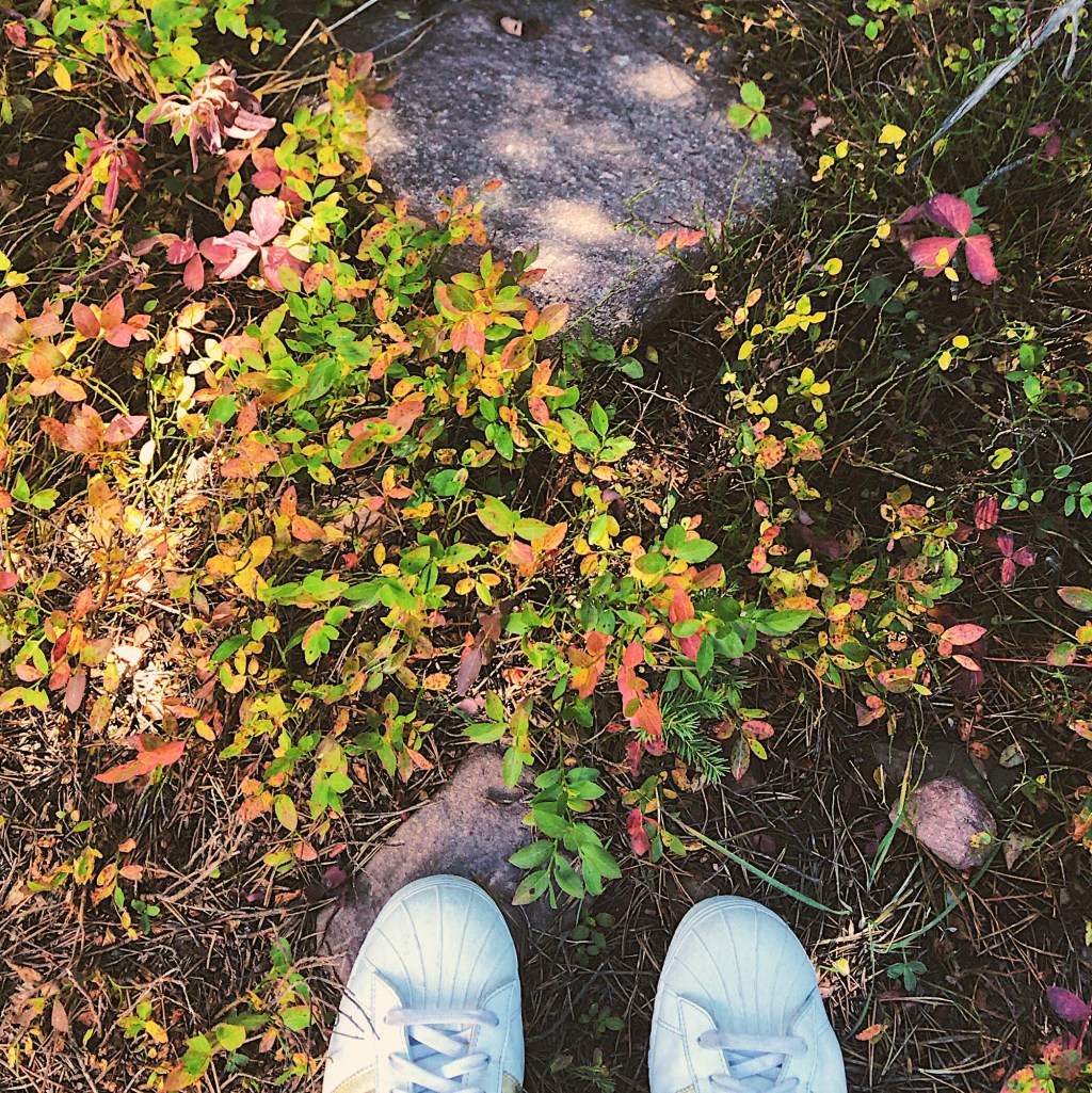 You Shouldn’t Give Up&nbsp;Yet