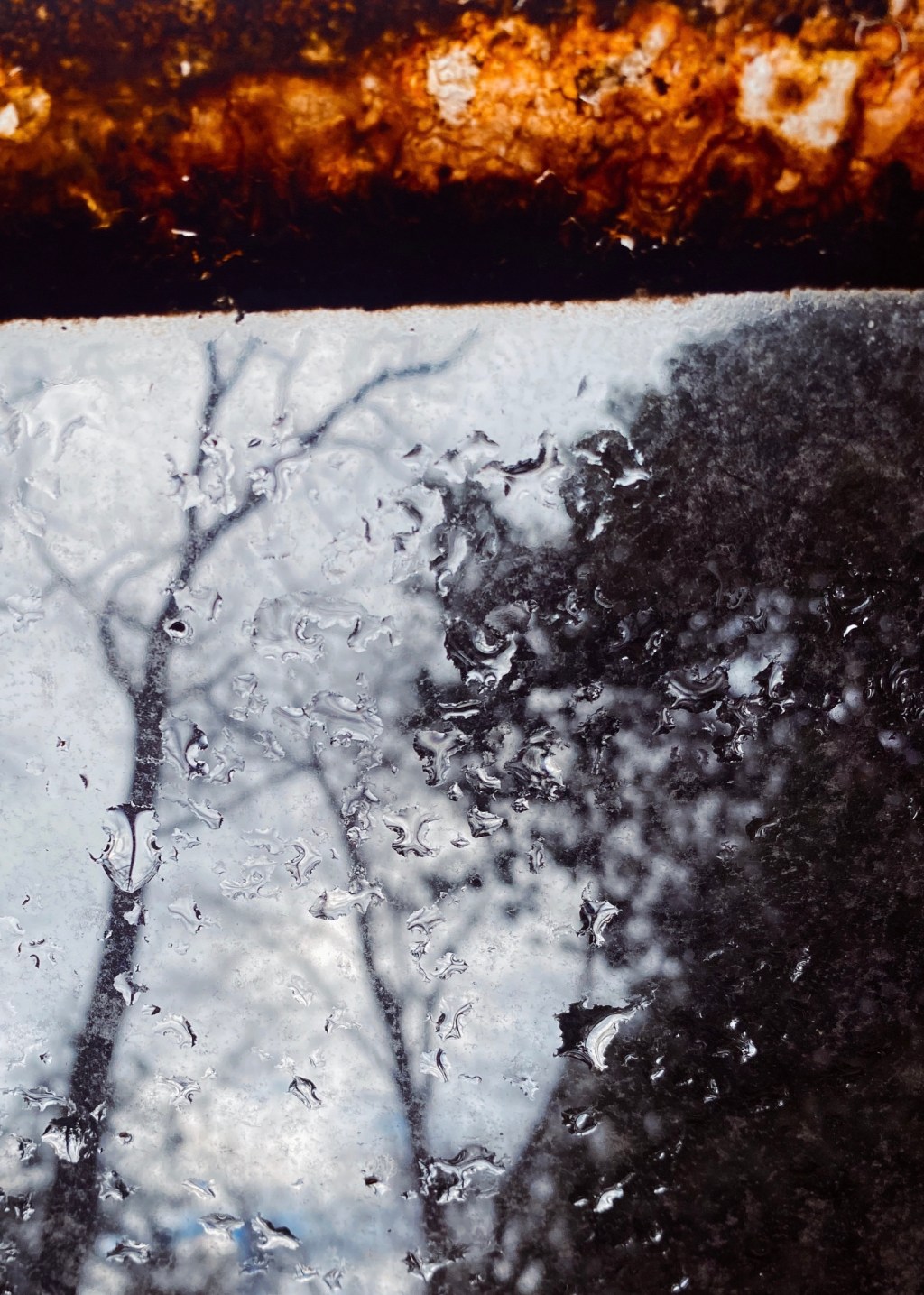 The Hypocrisy of a&nbsp;Pharisee