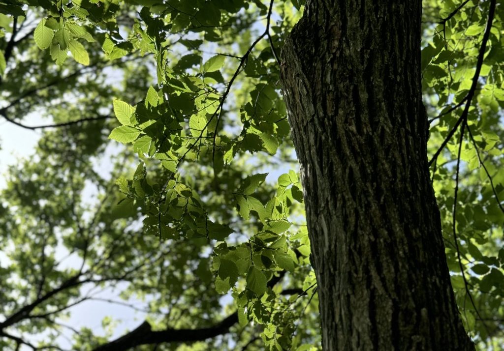 The Intersection of Courage &&nbsp;Joy